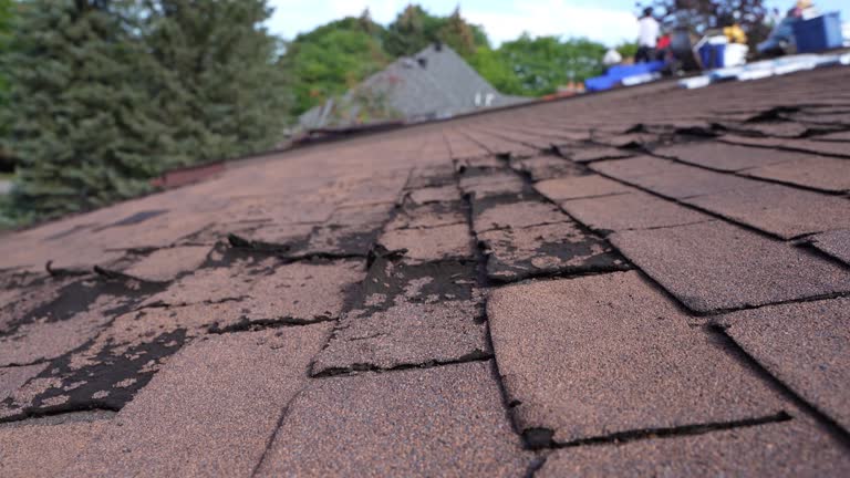 Best Roof Ventilation Installation  in New Bedford, PA